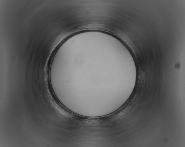 X0000089371082200707131632