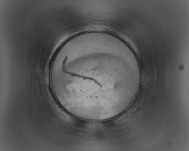 X0000089371083200707131632