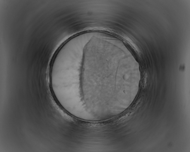 X0000089371084200707131632