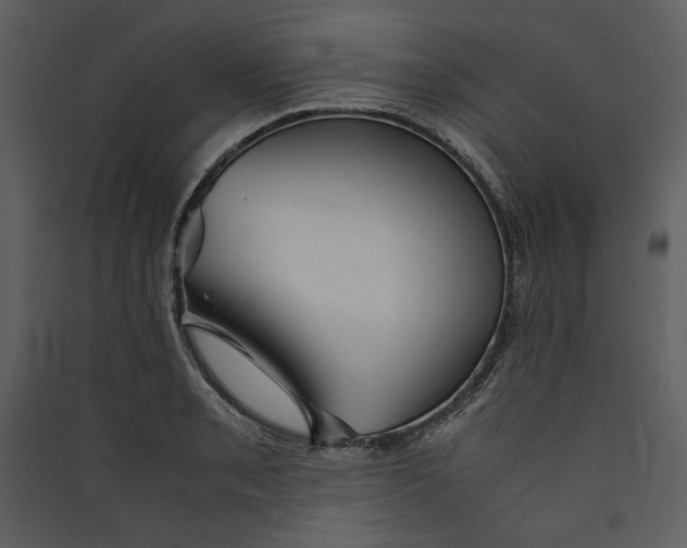 X0000089371085200707131632