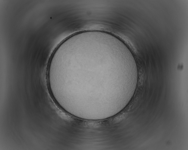 X0000089371086200707131632