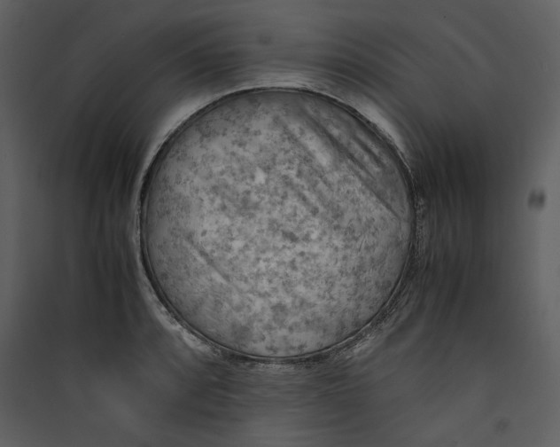 X0000089371088200707131632