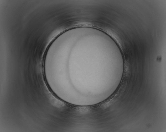 X0000089371090200707131632