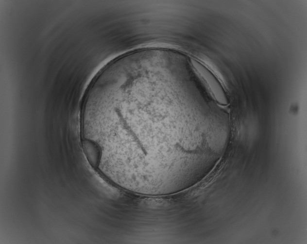 X0000089371092200707131632