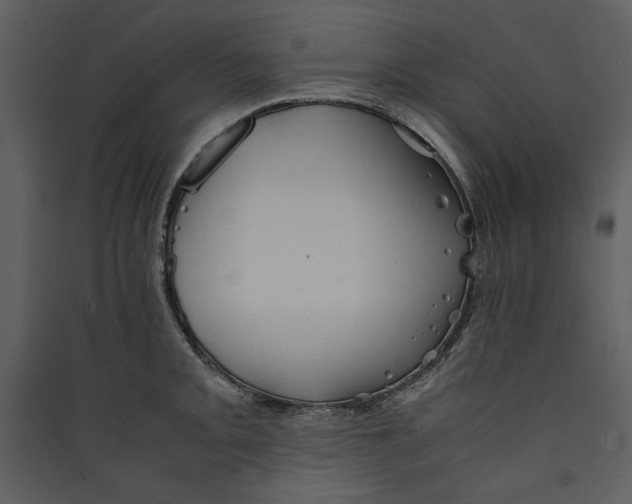 X0000089371093200707131632