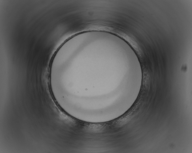 X0000089371094200707131632