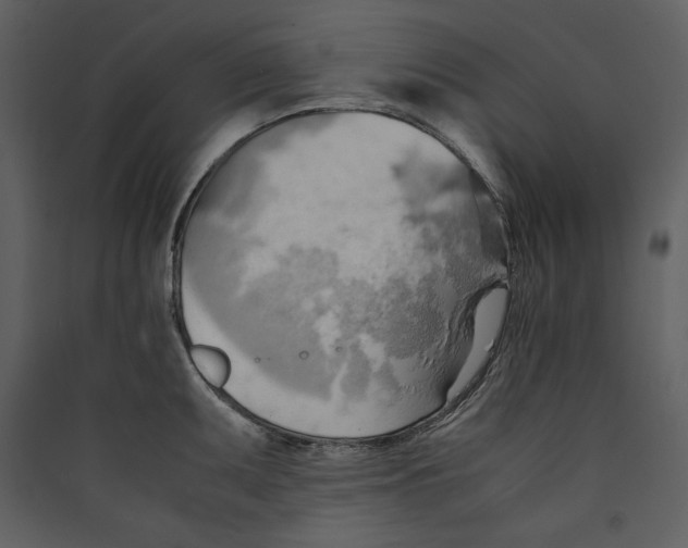 X0000089371095200707131632