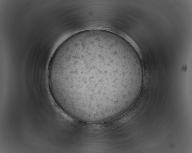 X0000089371096200707131632