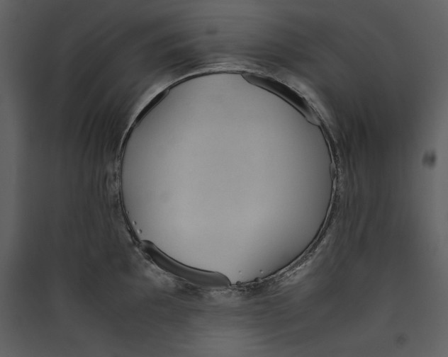 X0000089371097200707131632