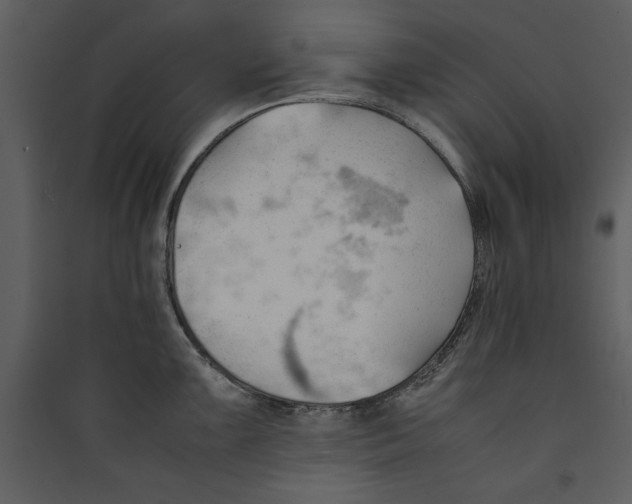 X0000089371099200707131631