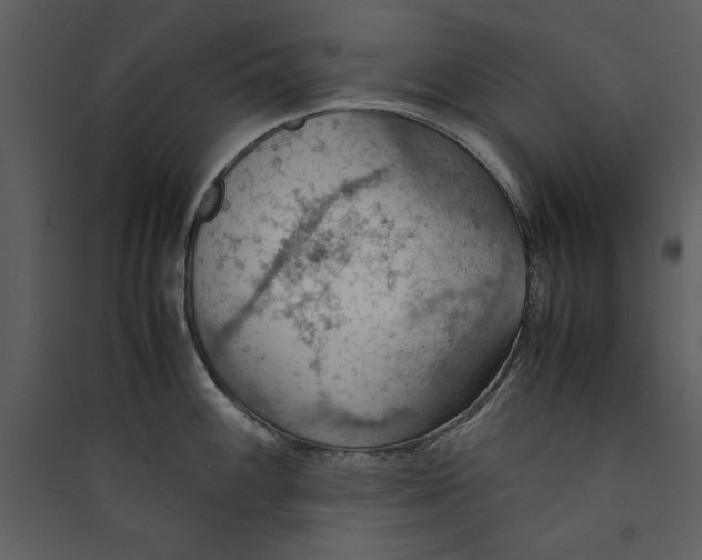 X0000089371100200707131631