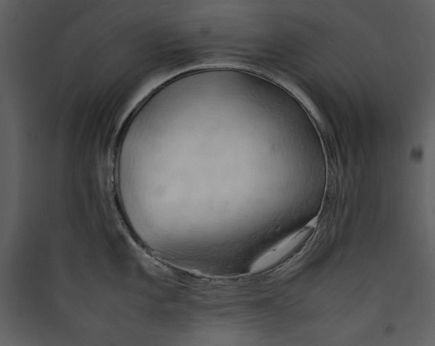 X0000089371101200707131631