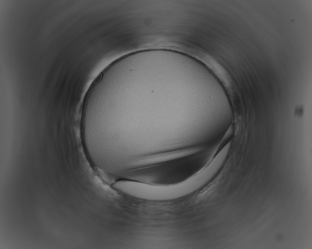 X0000089371102200707131631