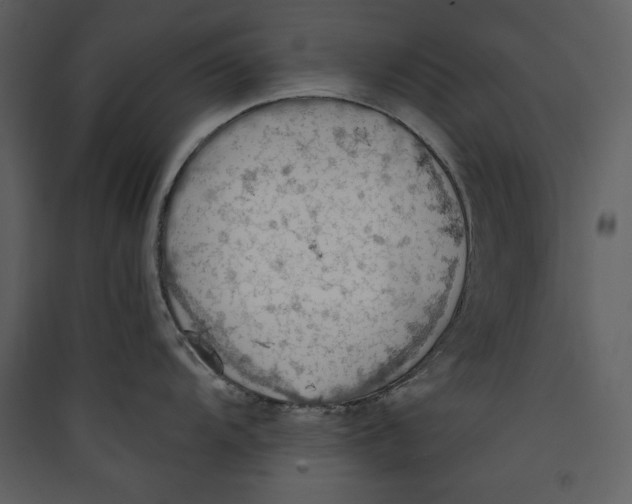 X0000089371104200707131631