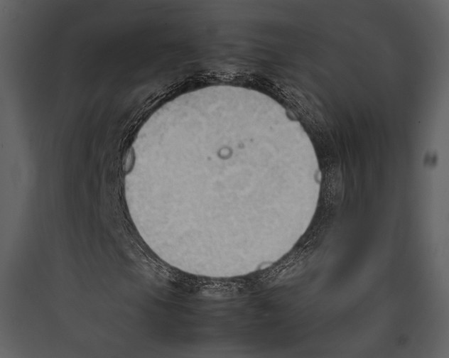 X0000089371105200707131630