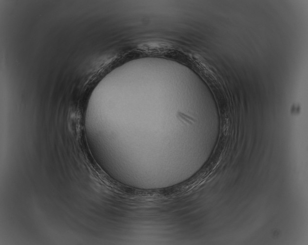 X0000089371108200707131630