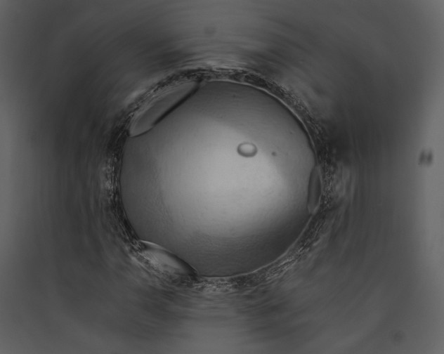 X0000089371110200707131631