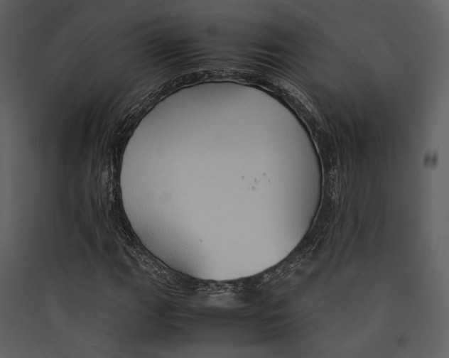 X0000089371111200707131631