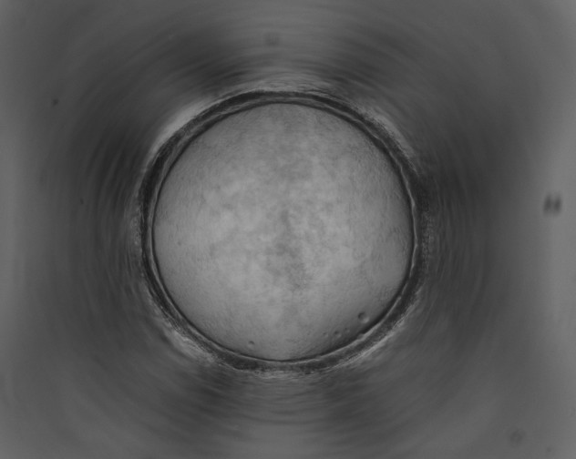 X0000089371114200707131631