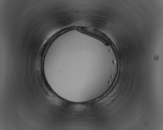 X0000089371115200707131631