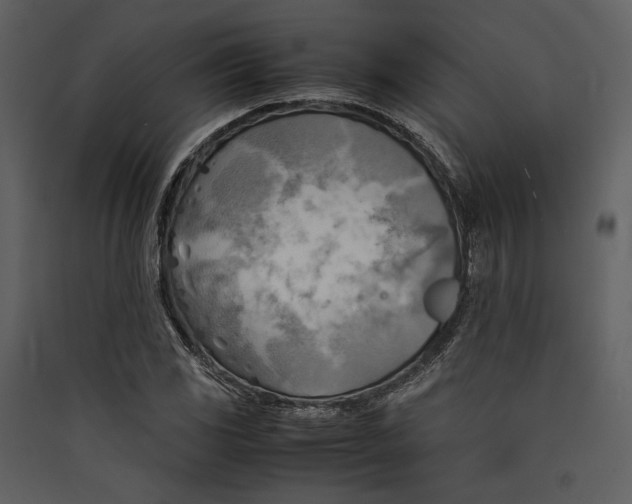 X0000089371117200707131631