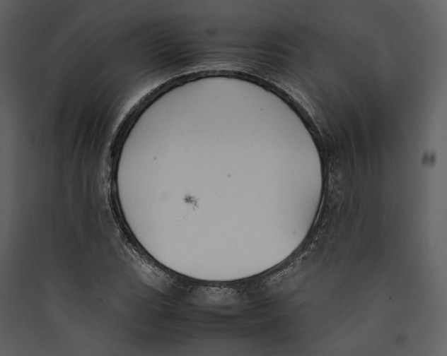 X0000089371119200707131631