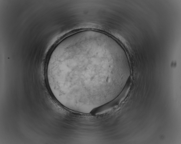 X0000089371120200707131631