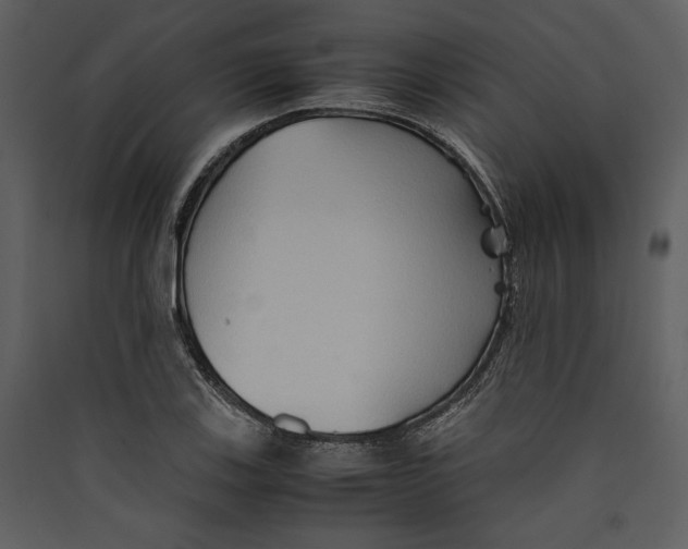 X0000089371123200707131631