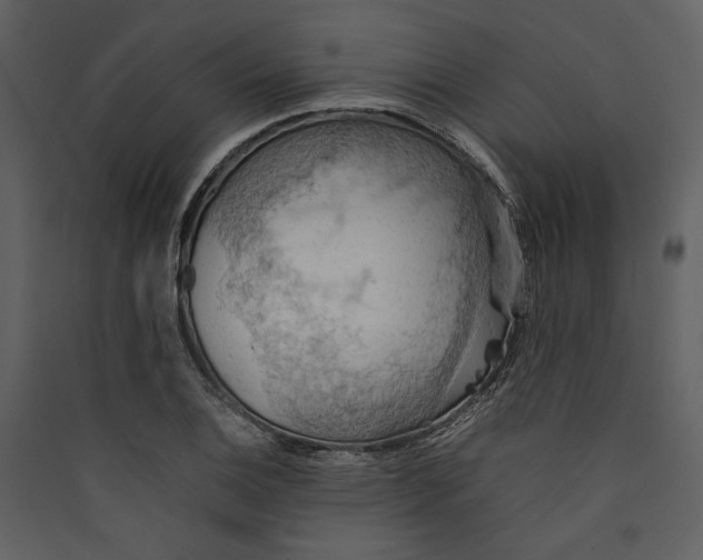 X0000089371124200707131631