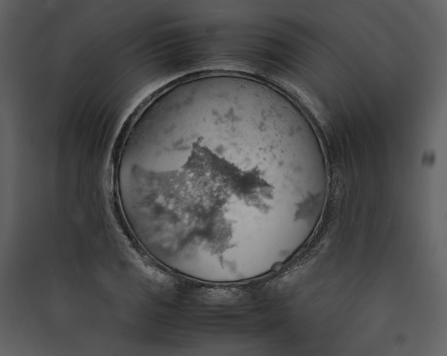 X0000089371125200707131631