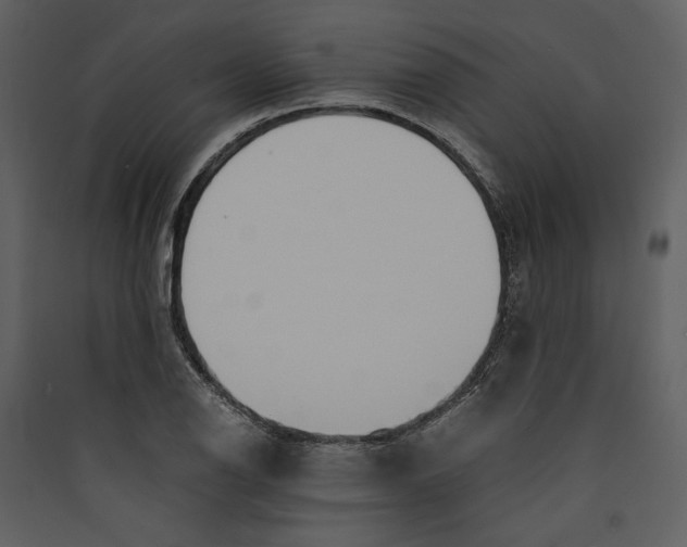 X0000089371126200707131631