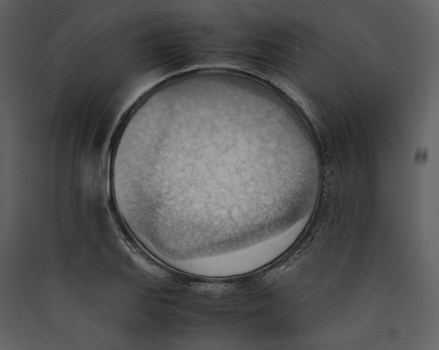 X0000089371127200707131631