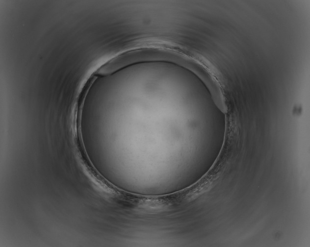 X0000089371128200707131631