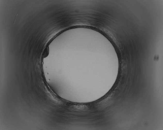 X0000089371129200707131631