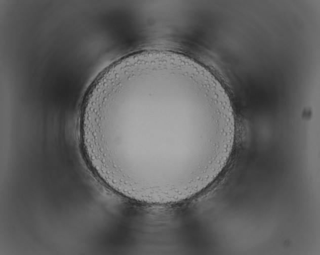 X0000089371130200707131631