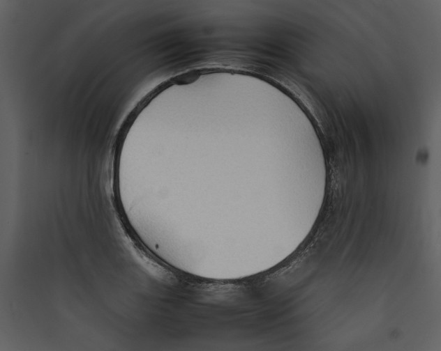 X0000089371131200707131631