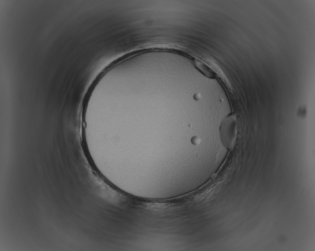 X0000089371132200707131631