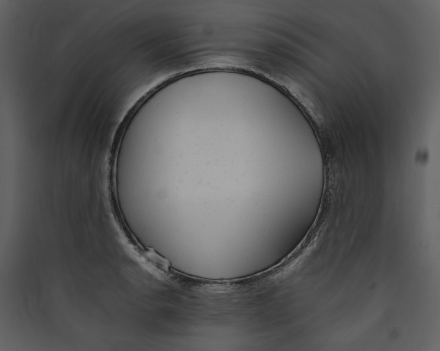 X0000089371134200707131631