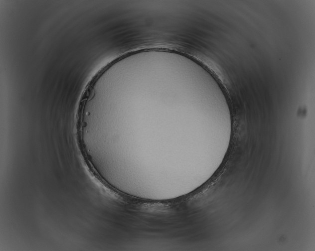 X0000089371135200707131631