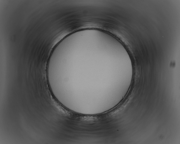 X0000089371137200707131631