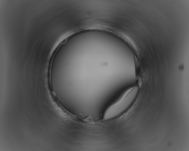 X0000089371138200707131631