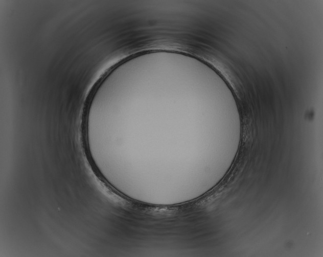 X0000089371139200707131631