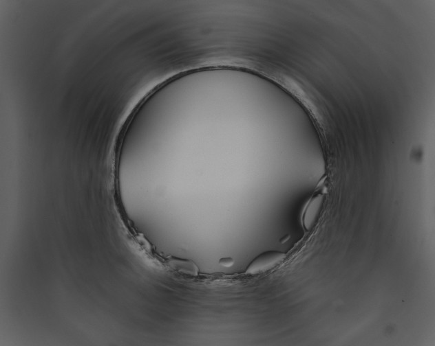 X0000089371140200707131631