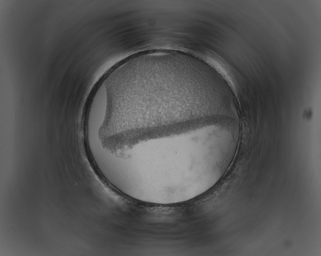 X0000089371141200707131631