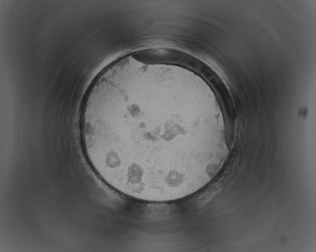 X0000089371142200707131631