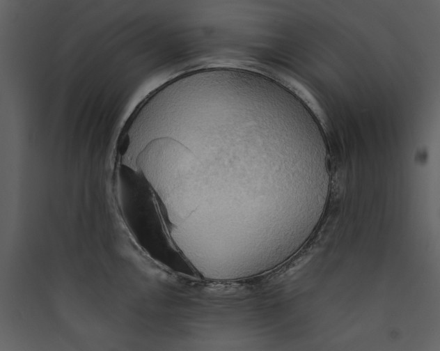 X0000089371146200707131631