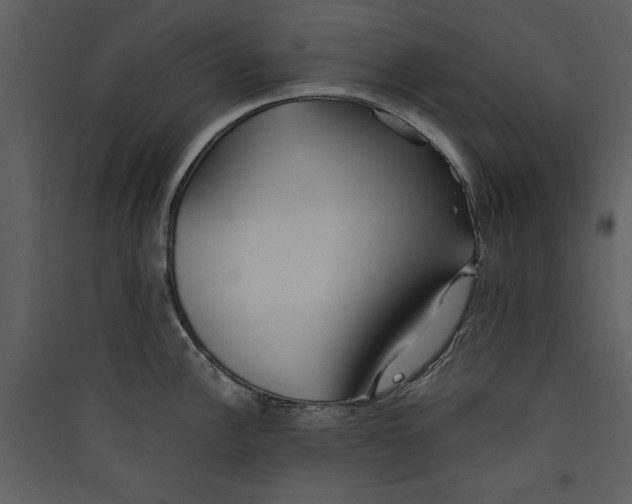 X0000089371148200707131631