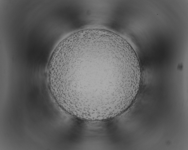 X0000089371150200707131631