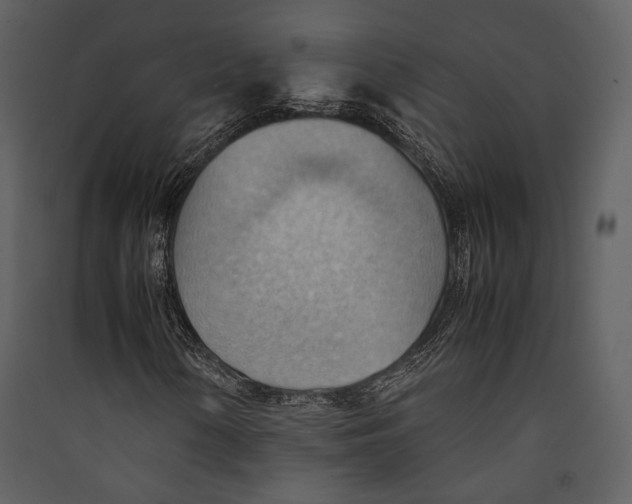 X0000089371154200707131630