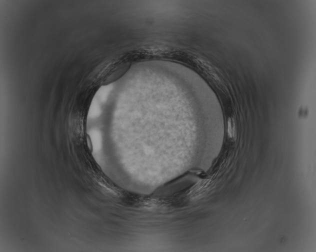 X0000089371155200707131630